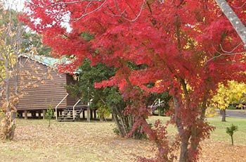 Madison'S Mountain Retreat Hotel Bilpin Exterior foto