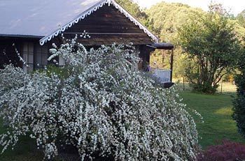 Madison'S Mountain Retreat Hotel Bilpin Exterior foto